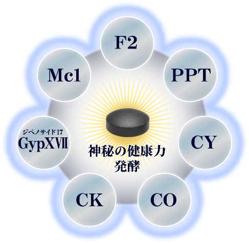 神秘の健康力 発酵|商品説明 ｜高麗人参 健康食品 通販市場売上高NO.1