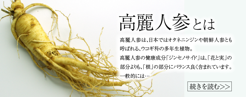 バナー5