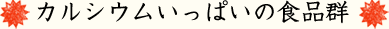 カルシウムいっぱいの食品群